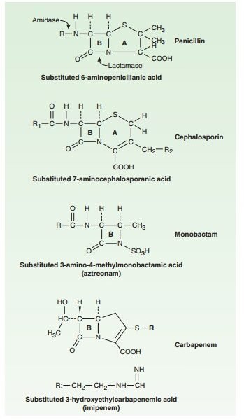 Concept of Penicillin