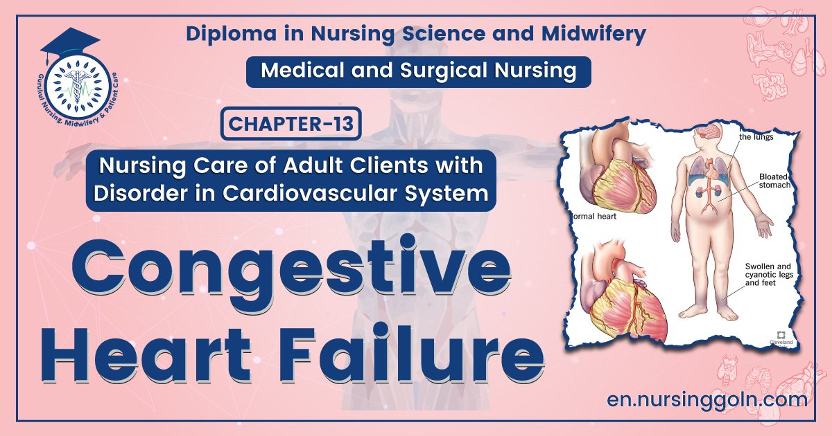 Congestive heart failure | CHAPTER-13 | Medical and Surgical Nursing