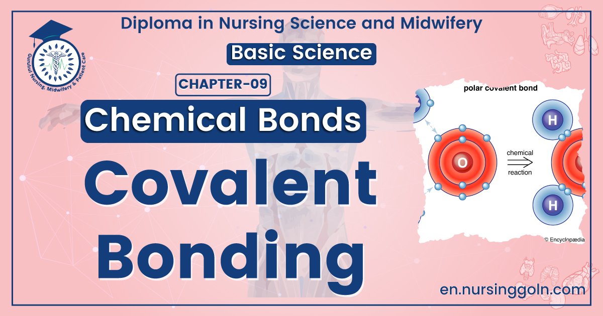 Covalent Bonding
