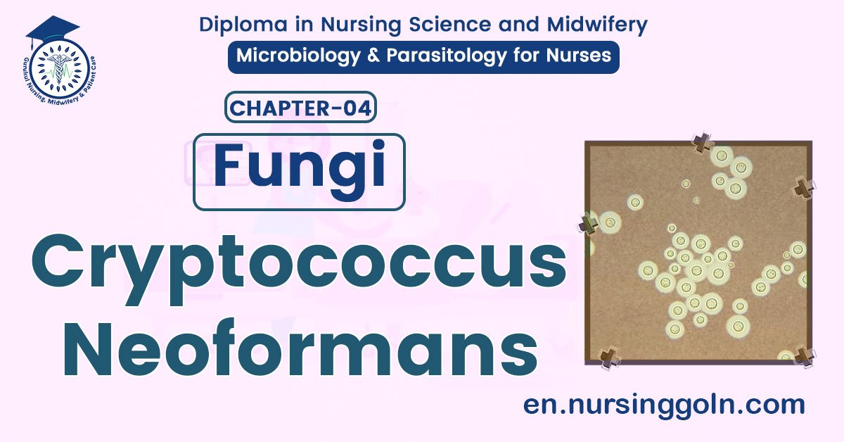 Cryptococcus neoformans