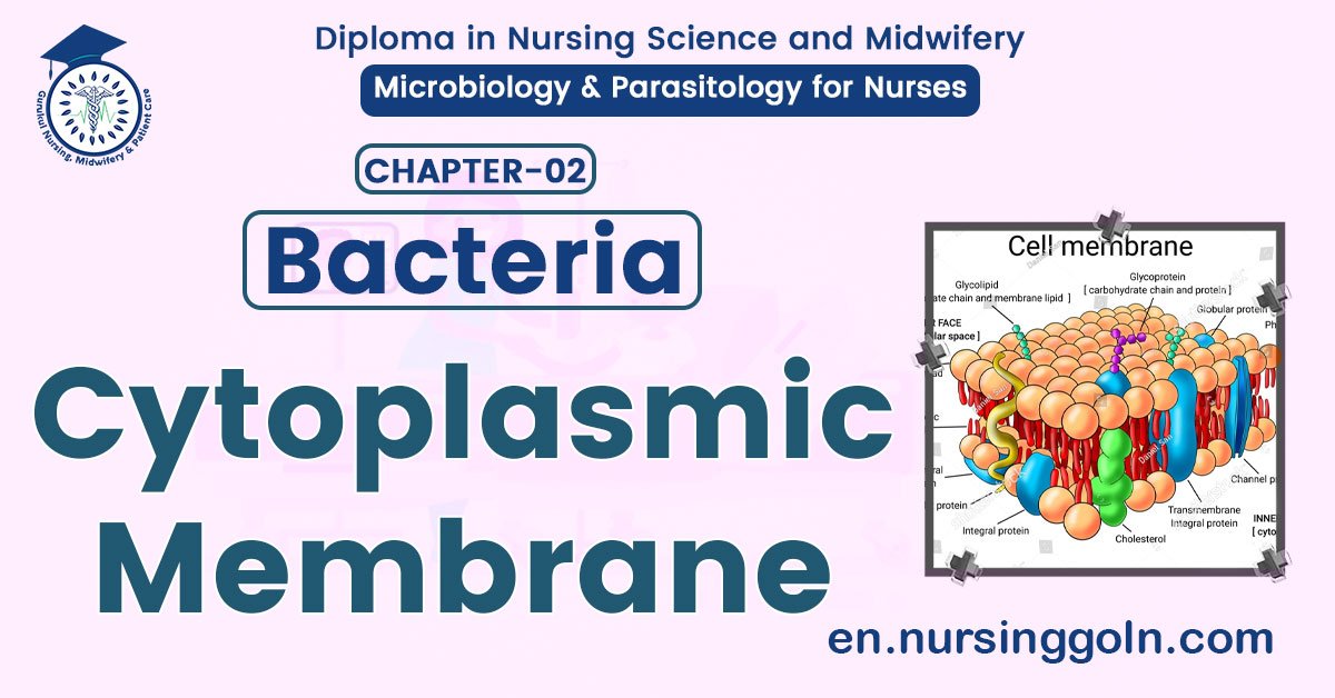 Cytoplasmic Membrane | CHAPTER 2 | Microbiology & Parasitology for Nurses