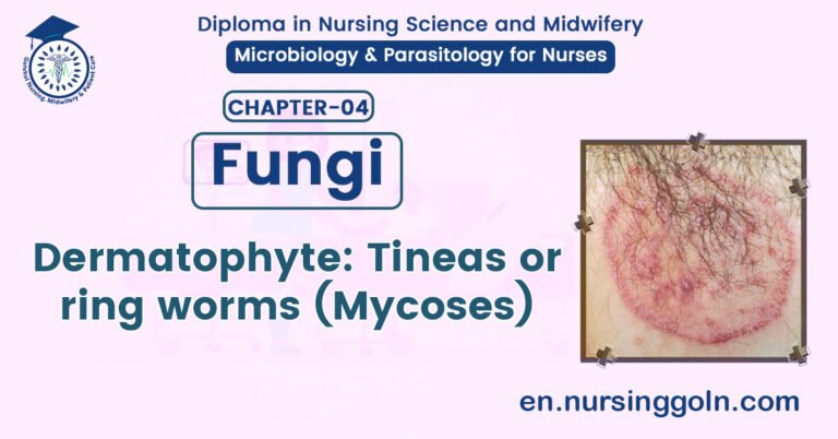 Dermatophyte: Tineas or ring worms (Mycoses) | CHAPTER 4 | Microbiology & Parasitology for Nurses