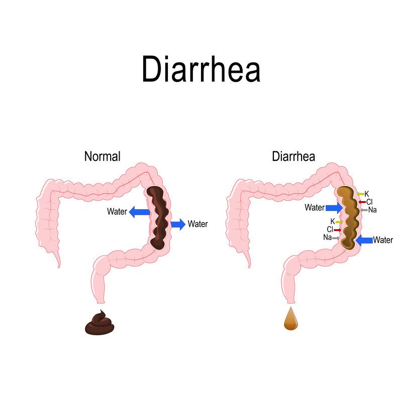 Concept of Diarrhoea | CHAPTER-8 | Pharmacology