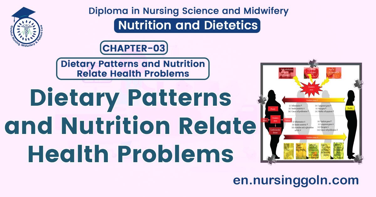 Dietary Patterns and Nutrition Relate Health Problems | CHAPTER 3 | Nutrition and Dietetics