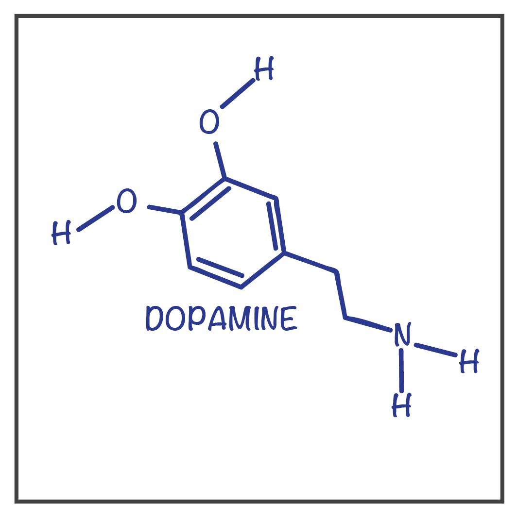 Concept Of Dopamine | CHAPTER-10 | Pharmacology