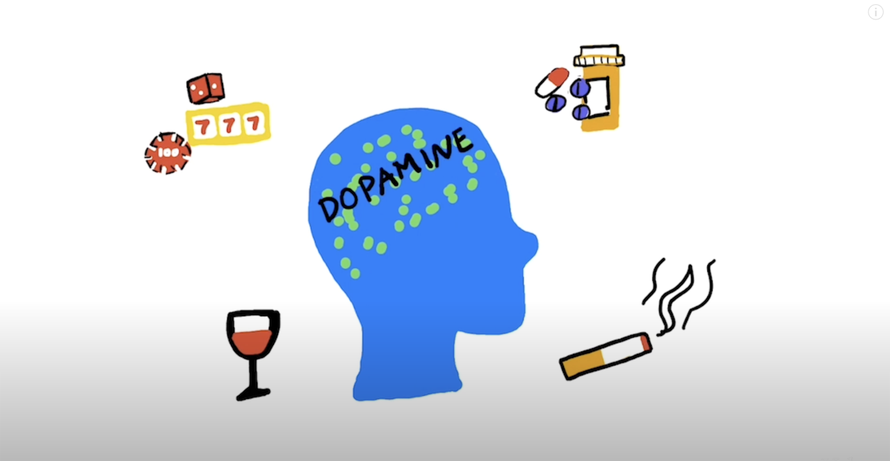 Concept Of Dopamine | CHAPTER-10 | Pharmacology