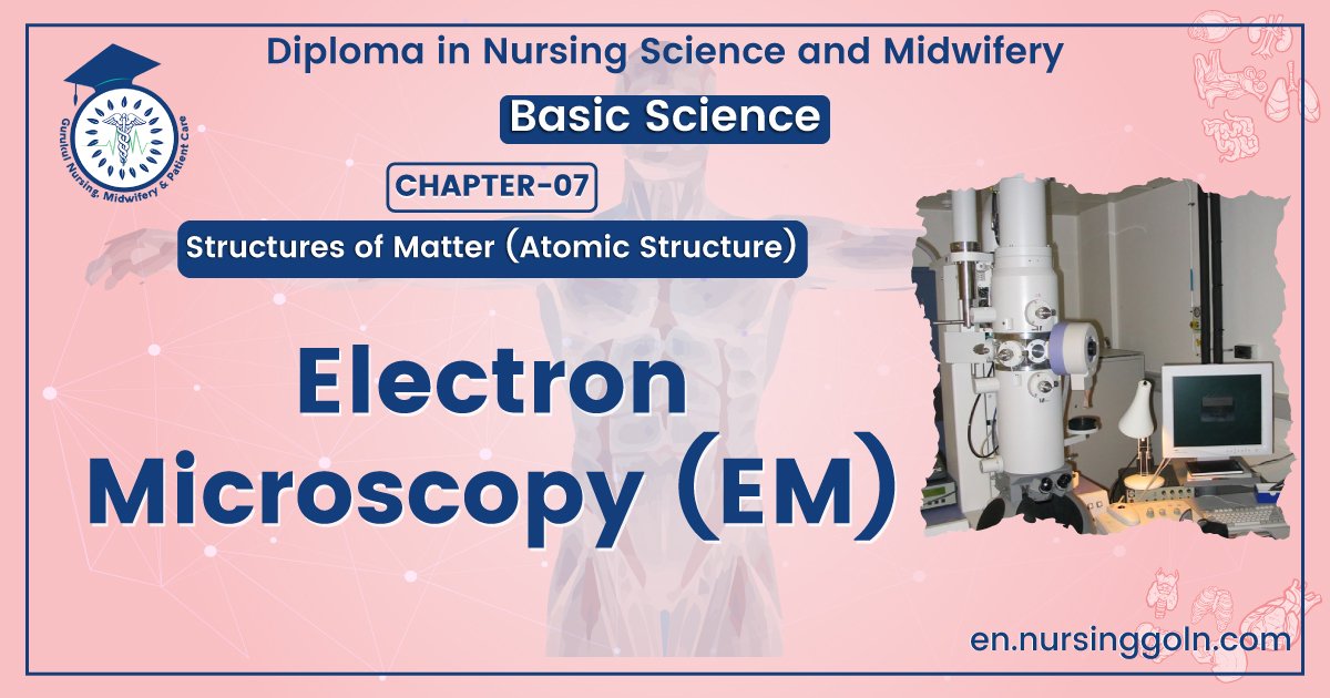 Electron Microscopy (EM)