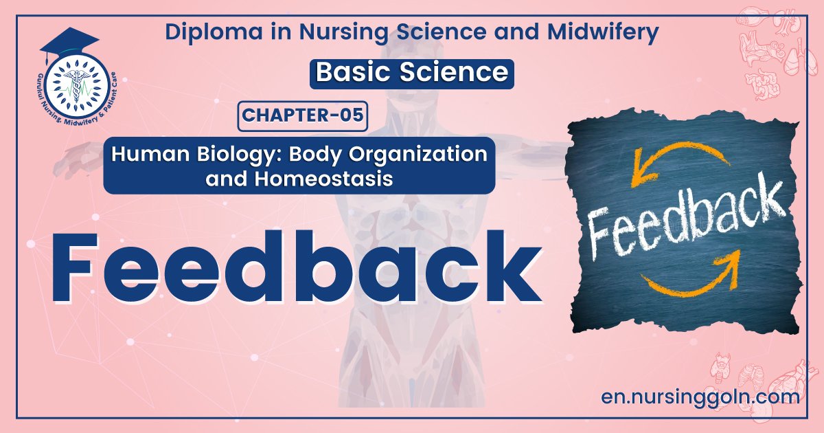 Definition of Feedback