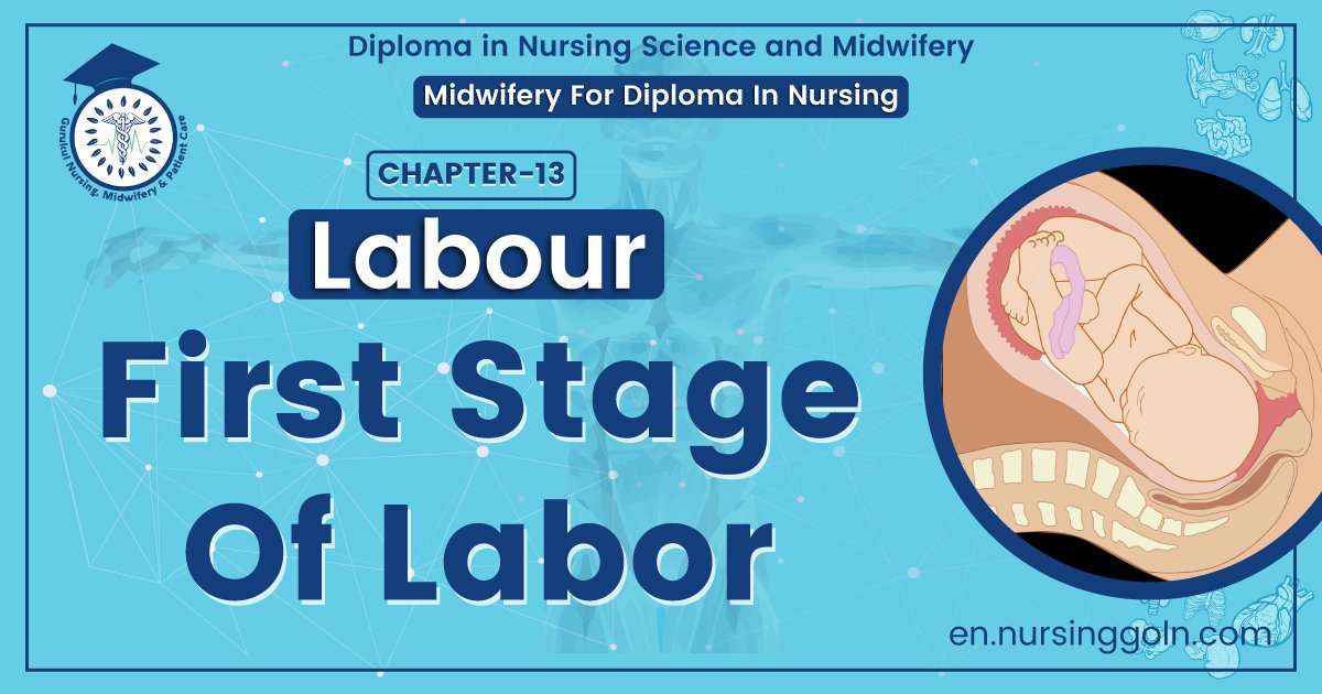 First Stage Of Labor | Chapter 13 | Midwifery For Diploma In Nursing