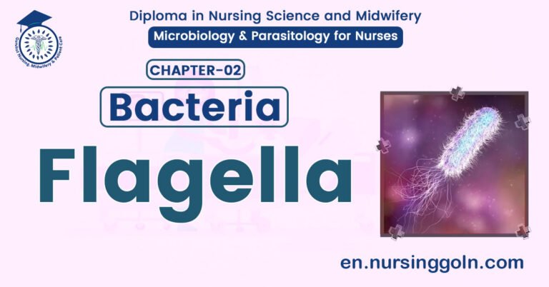 Types of Flagella | CHAPTER 2 | Microbiology & Parasitology for Nurses