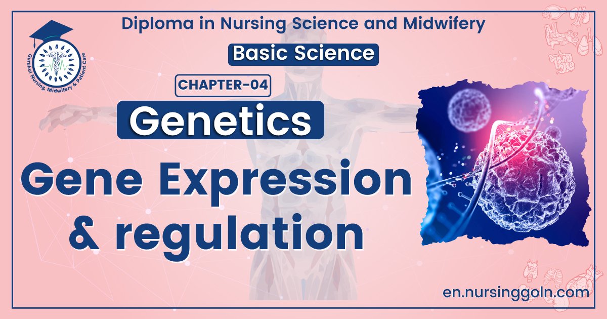 Gene Expression & regulation
