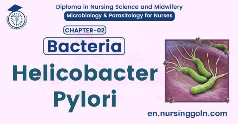 Helicobacter Pylori | CHAPTER 2 | Microbiology & Parasitology for Nurses