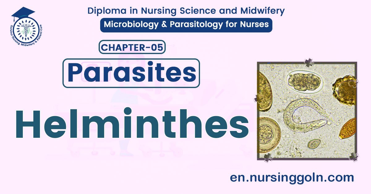 Definition of Helminthes | CHAPTER 5 | Microbiology & Parasitology for Nurses