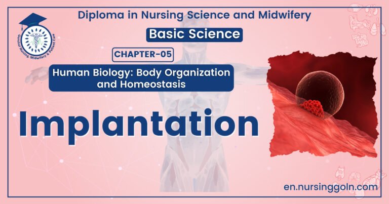 Definition of Implantation