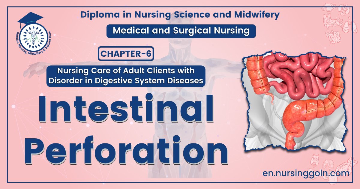 Intestinal perforation | CHAPTER-6 | Medical and Surgical Nursing