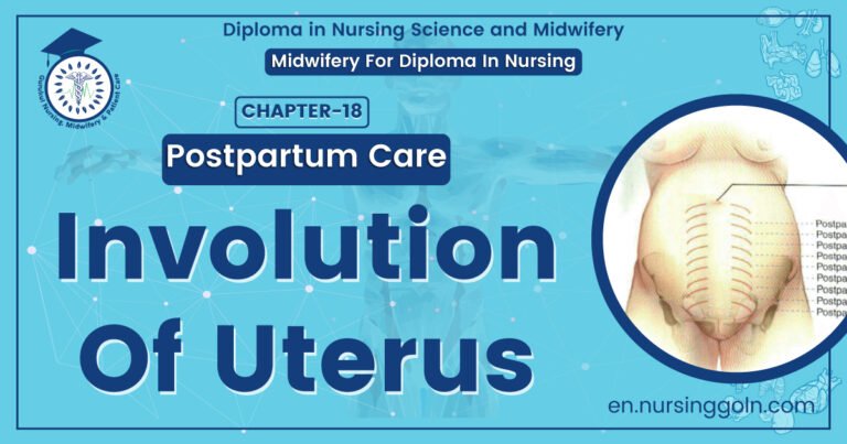 Involution Of Uterus