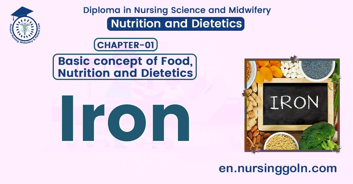 Concept about Iron | CHAPTER 1 | Nutrition and Dietetics