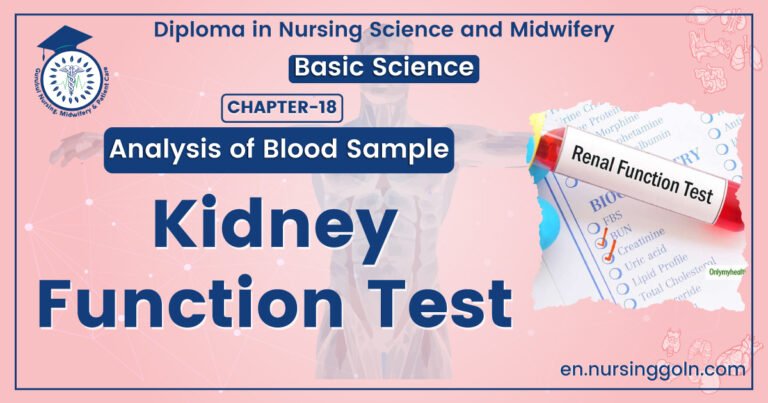 Kidney function test