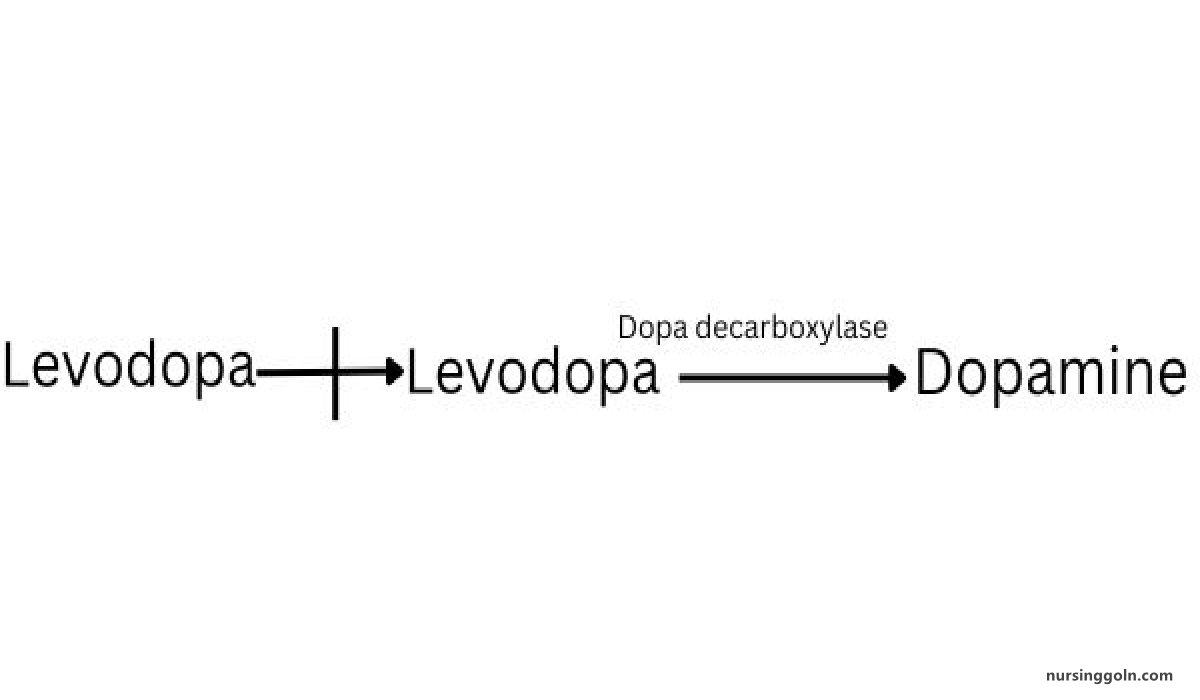 Concept of Prodrug | CHAPTER-1 | Pharmacology