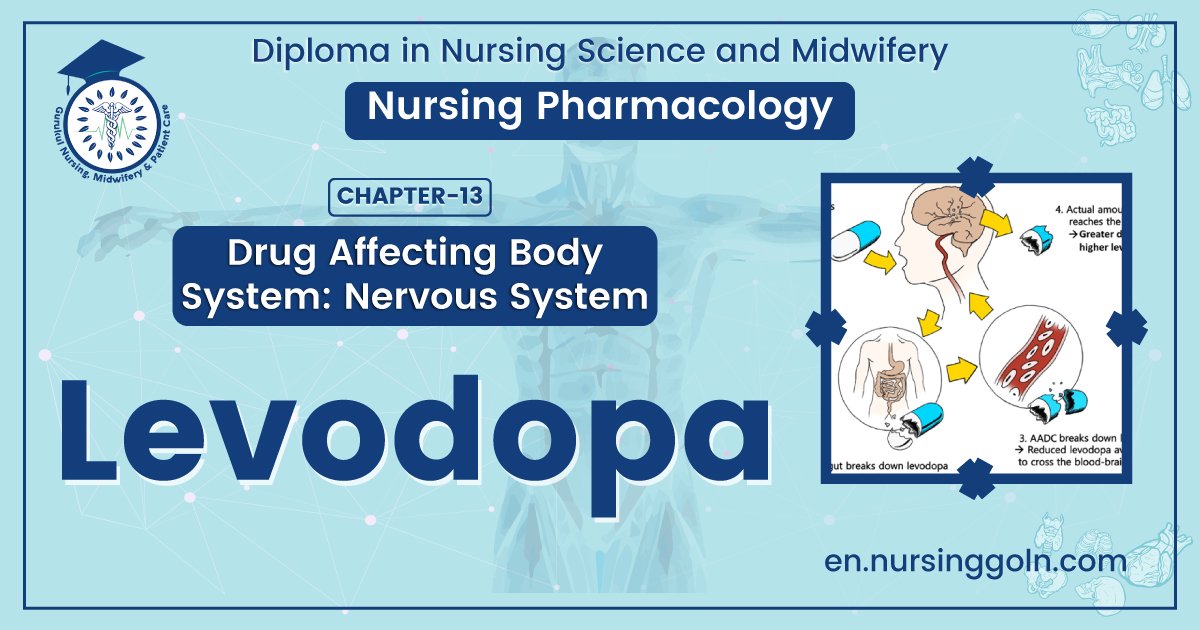 Concept About Levodopa | CHAPTER-13 | Pharmacology