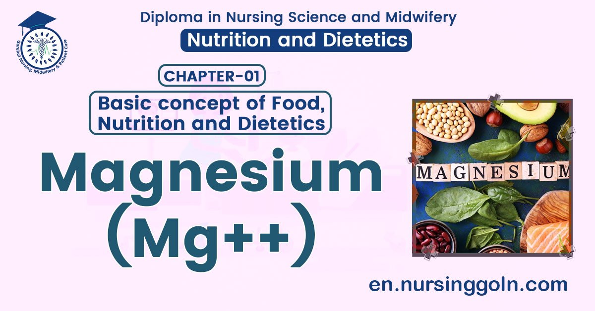 Concept about Magnesium (Mg++) | CHAPTER 1 | Nutrition and Dietetics