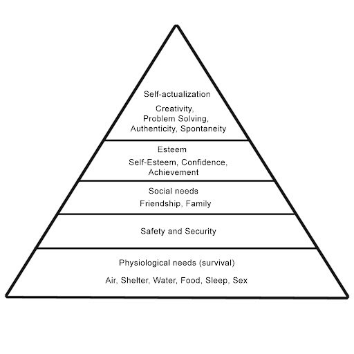 Basic Human Needs and Human Rights | CHAPTER 10 | Leadership And Management
