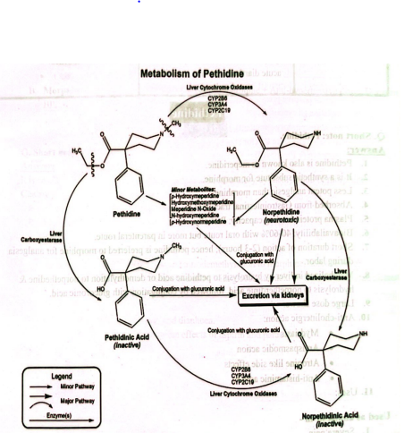 Concept About Pethidine | CHAPTER-7 | Pharmacology