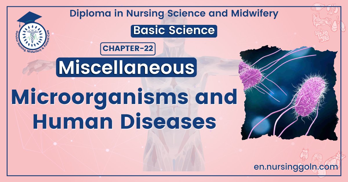 Microorganisms and Human Diseases