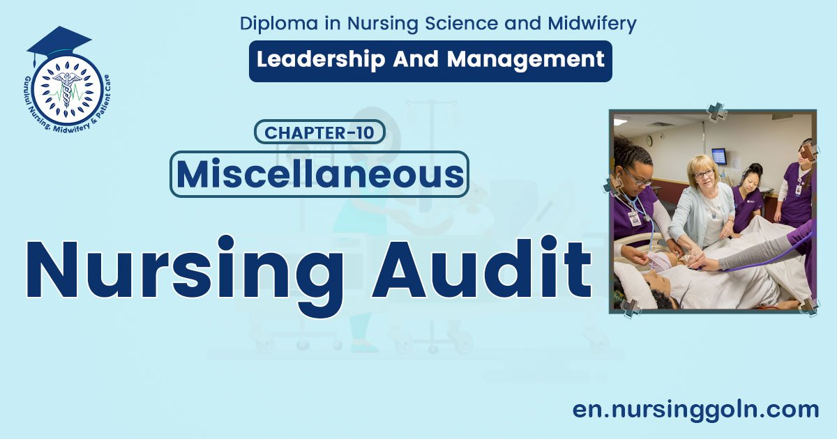 Nursing Audit