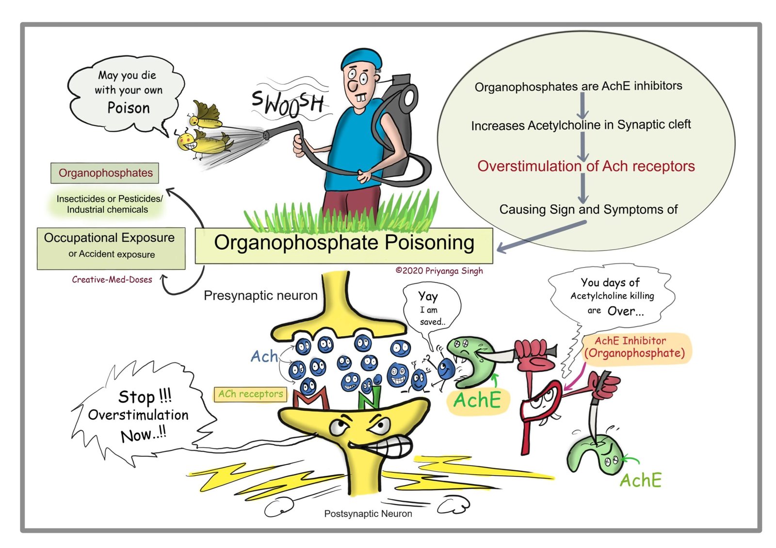 Organophosphate Poisoning (OPC poisoning) | CHAPTER-17 | Pharmacology
