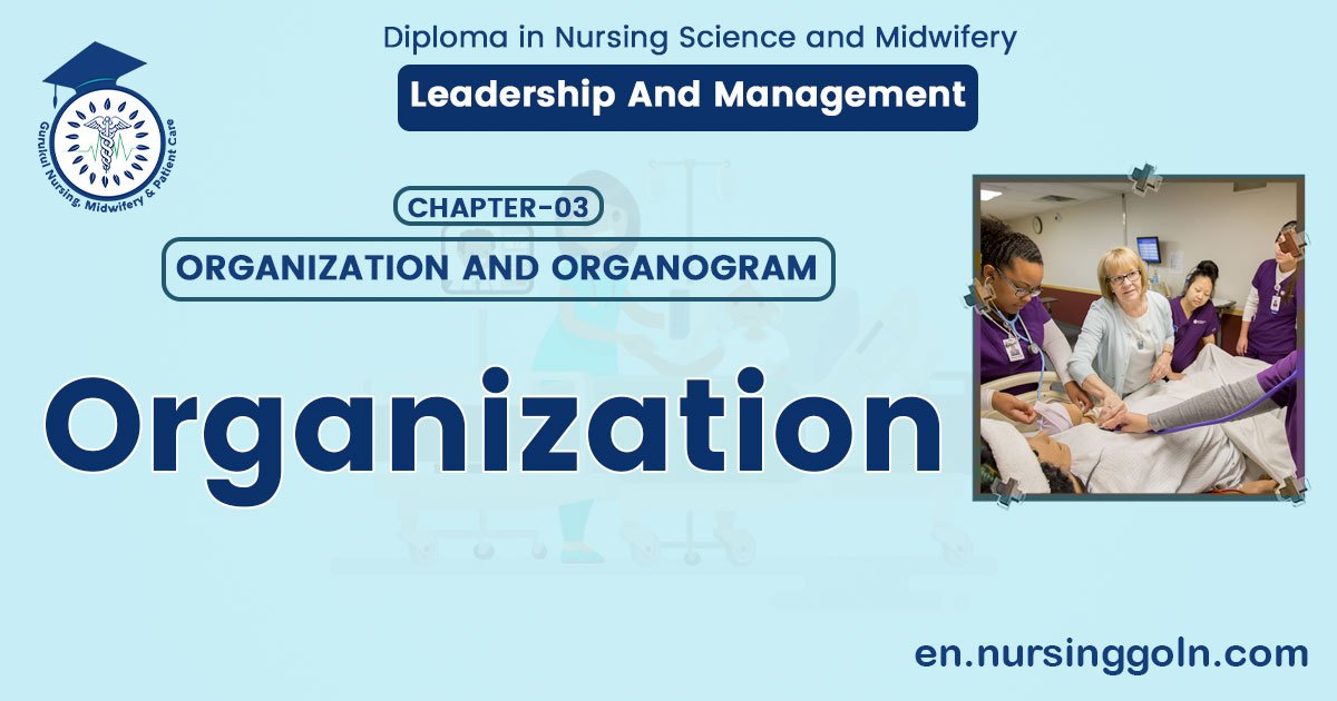Definition of Organization | CHAPTER 3 | Leadership And Management