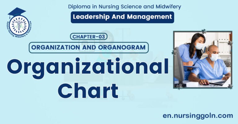 organizational chart | CHAPTER 3 | Leadership And Management