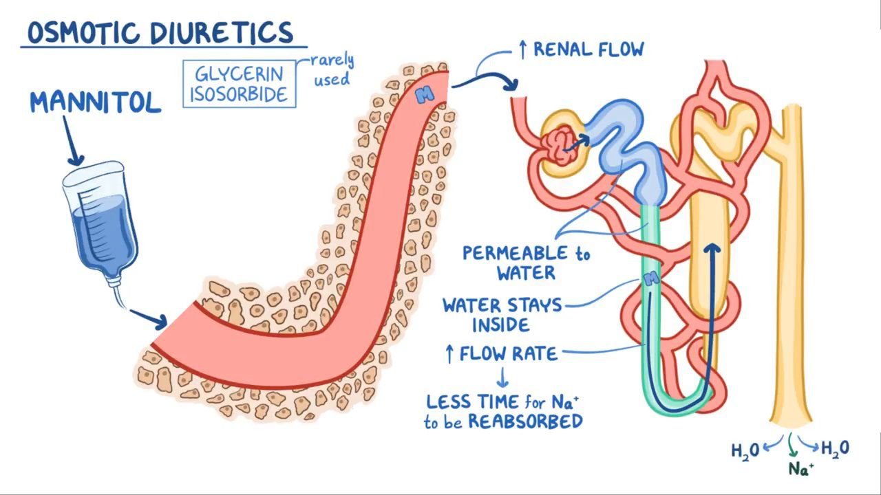 Osmotic Diuretics | CHAPTER-9 | Pharmacology