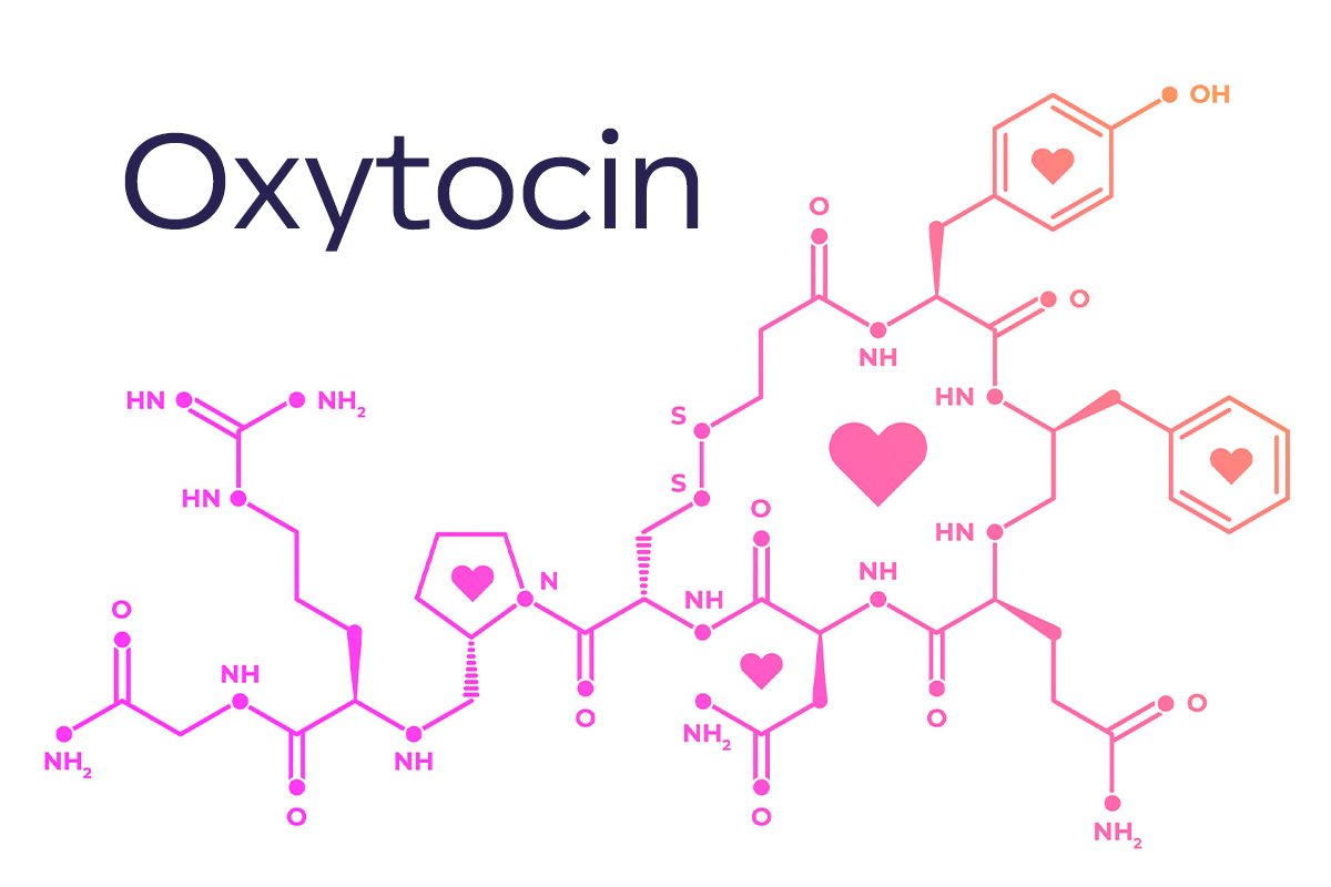 Concept About Oxytocin | CHAPTER-17 | Pharmacology