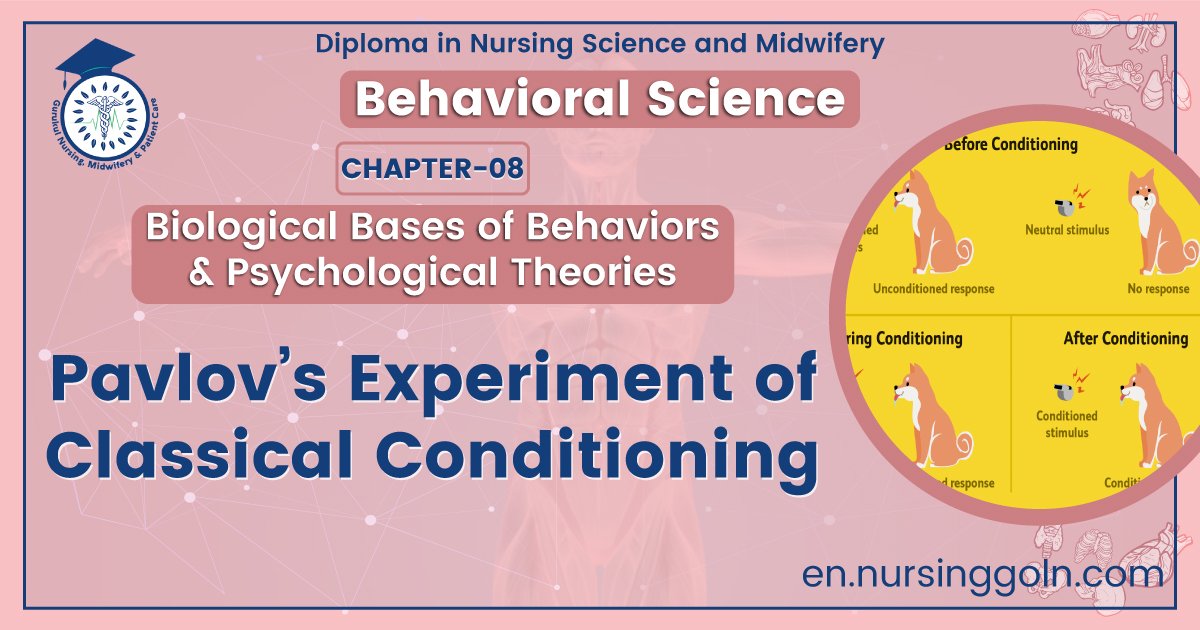 Pavlov’s Experiment of Classical Conditioning