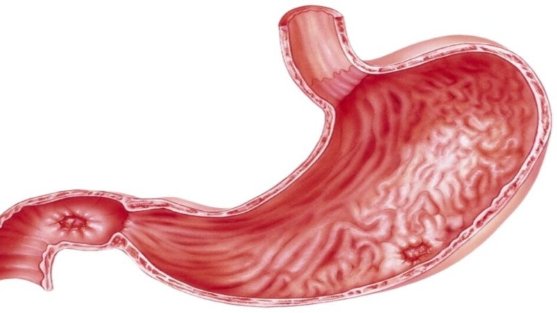 Concept of Peptic Ulcer Disease (PUD) | CHAPTER-8 | Pharmacology