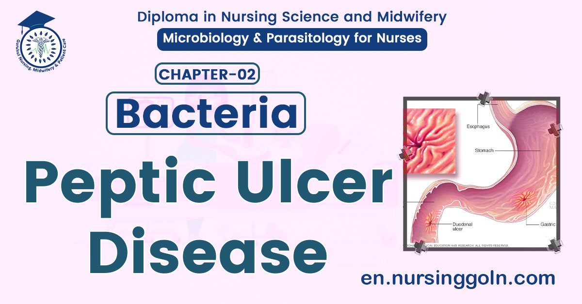 Peptic Ulcer Disease | CHAPTER 2 | Microbiology & Parasitology for Nurses