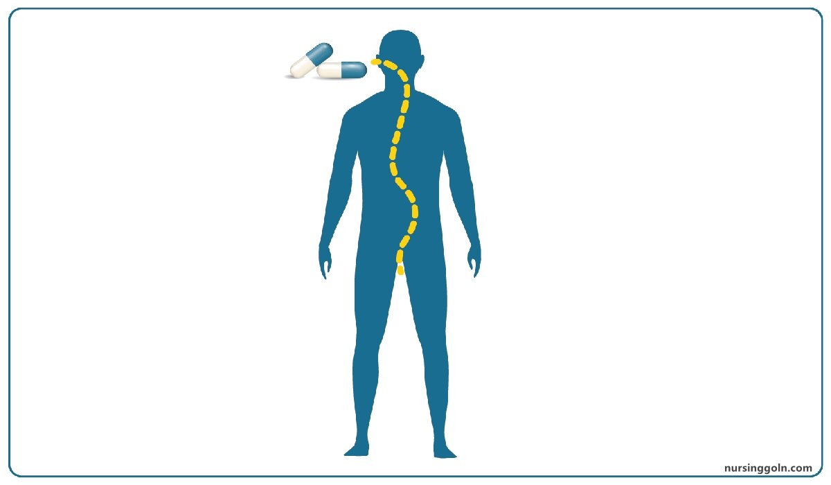 Concept of Pharmacokinetic | CHAPTER-1 | Pharmacology