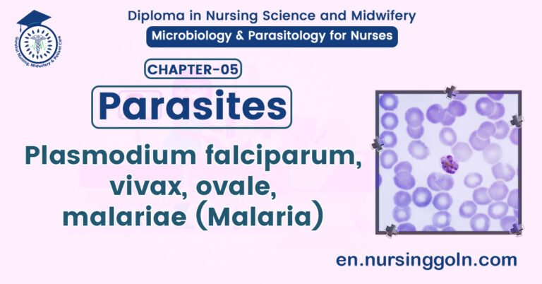 Plasmodium falciparum, vivax, ovale, malariae (Malaria) | CHAPTER 5 | Microbiology & Parasitology for Nurses