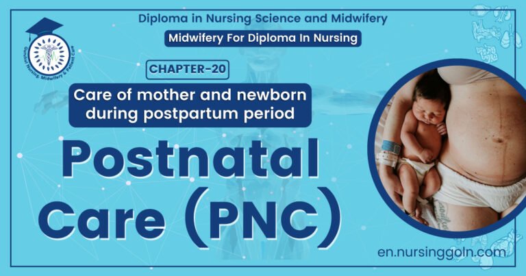 Postnatal care (PNC)