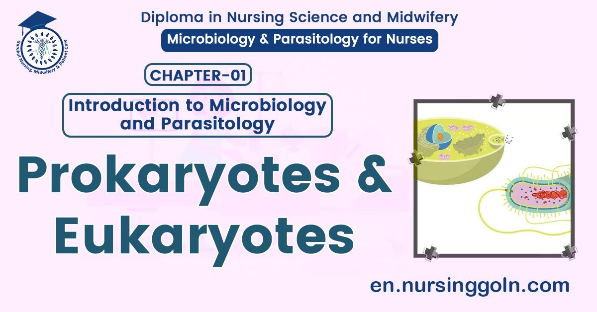 Prokaryotes & Eukaryotes