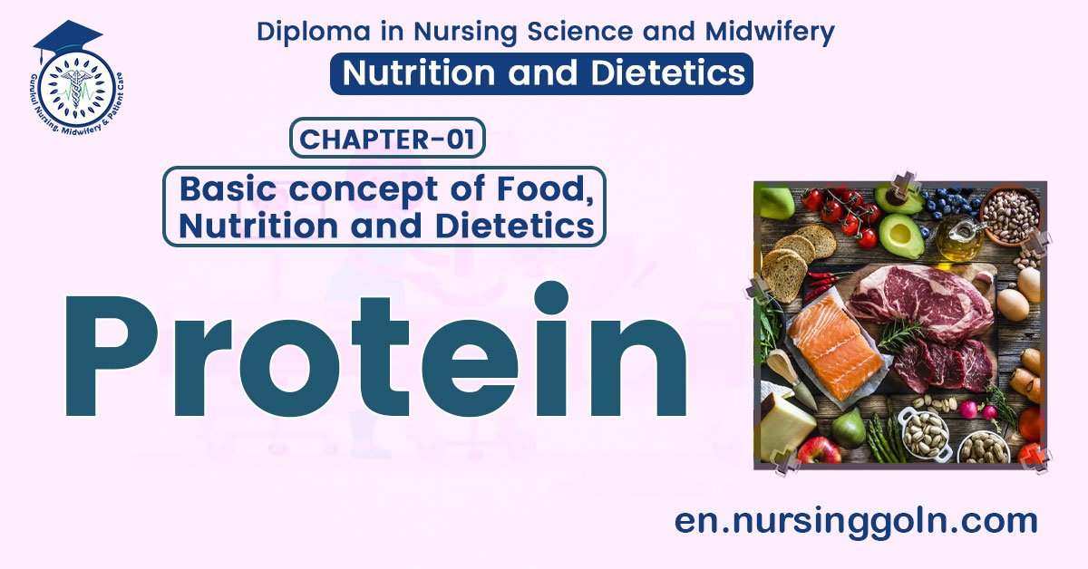 Definition of Protein | CHAPTER 1 | Nutrition and Dietetics