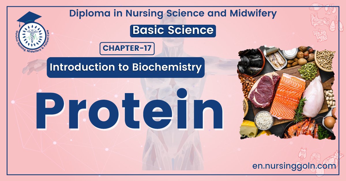 Concept about Protein