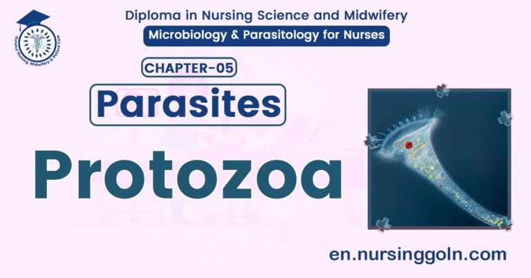 Definition of Protozoa