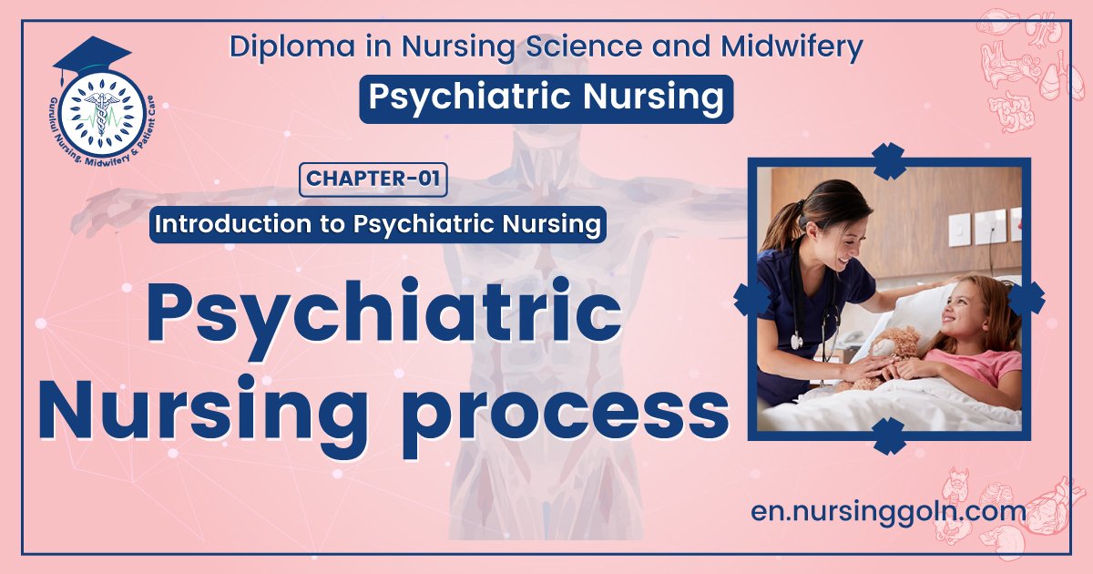 Psychiatric nursing process