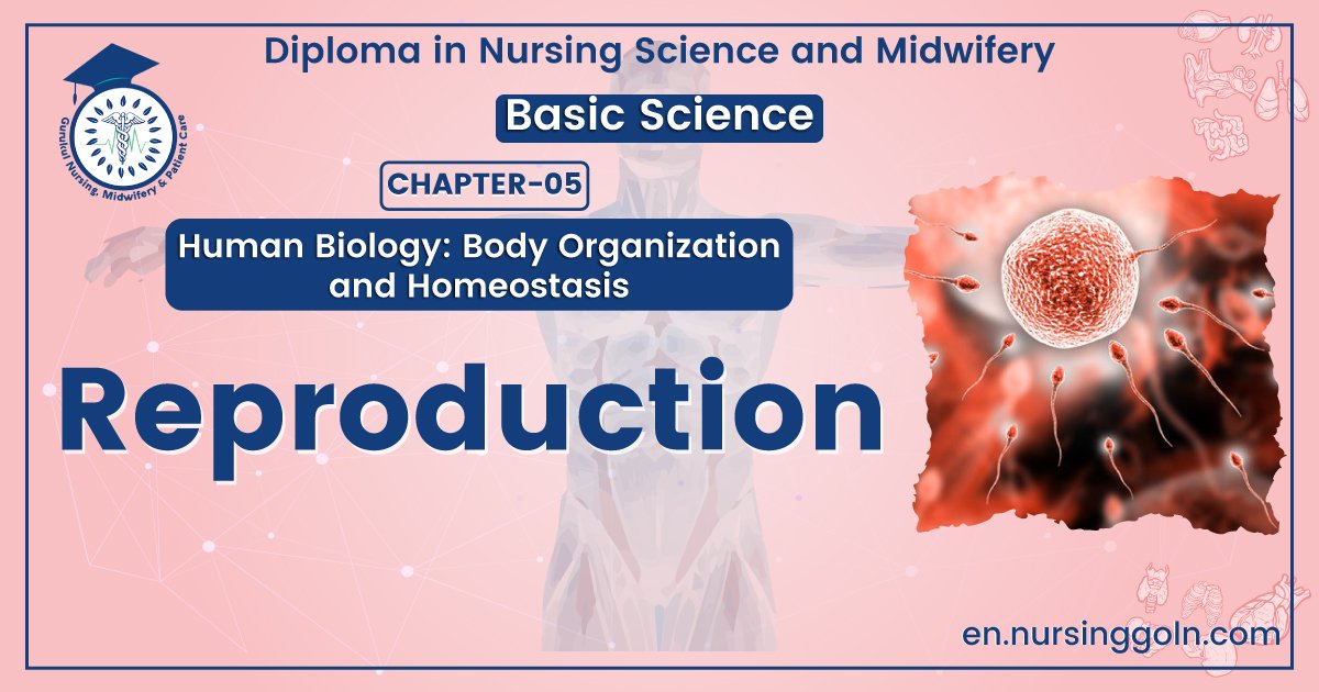 Definition of Reproduction