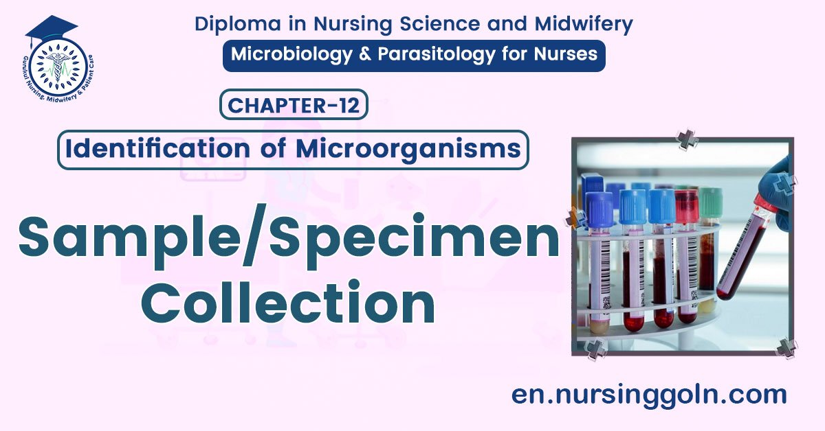 Sample or Specimen Collection