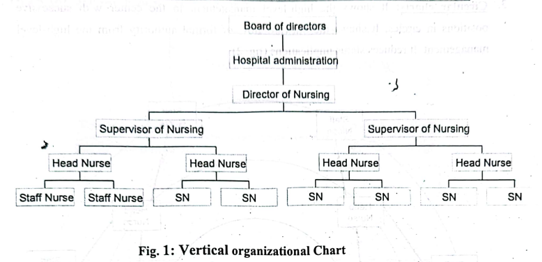organizational chart | CHAPTER 3 | Leadership And Management