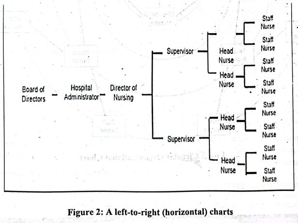 organizational chart | CHAPTER 3 | Leadership And Management