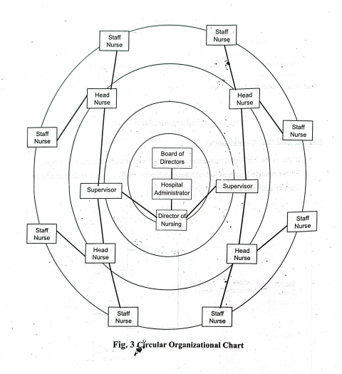 organizational chart | CHAPTER 3 | Leadership And Management
